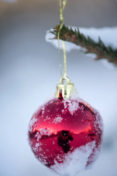 Palla Natale Rosso Appeso Abete Rosso Con Spazio Copia — Foto Stock