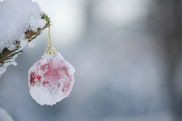 Bolas Natal Vermelho Neve Fresca — Fotografia de Stock