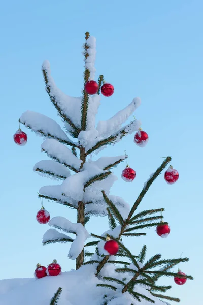 Granen Dekorerad För Vintersemester Med Röda Bollar — Stockfoto