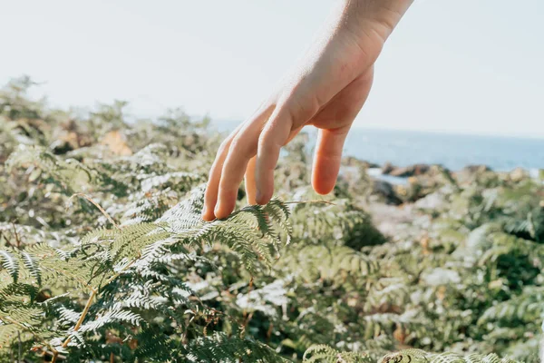 One Hand Touching Fern Super Bright Day Reflexion Mental Health — Stock Photo, Image