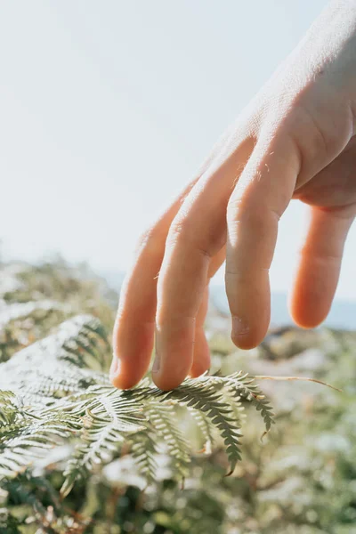 Copy Space One Hand Touching Fern Super Bright Day Reflexion — Stock Photo, Image