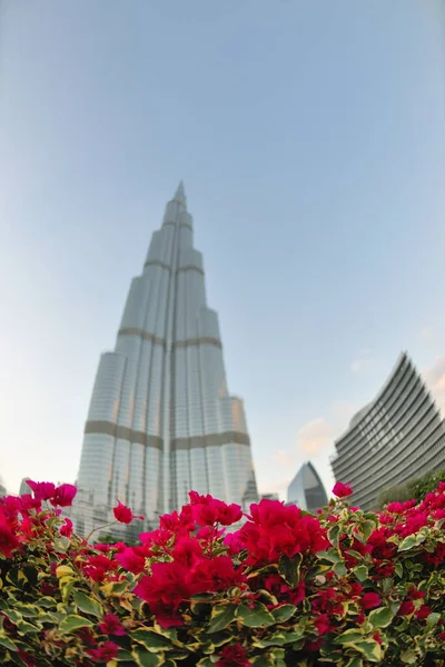 Arranha Céu Dubai Burj Khalifa — Fotografia de Stock