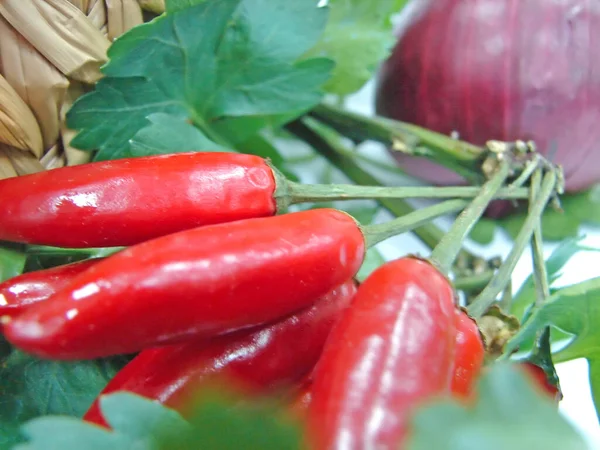 Photo Red Hot Pepper — Foto de Stock