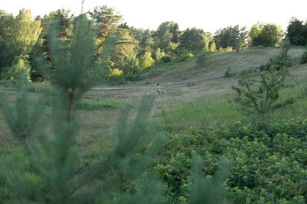 Taze Çimenleri Olan Güzel Bir Çayır Yaz Baharı Doğal Manzara — Stok fotoğraf