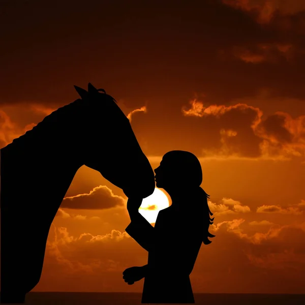 Silhouet Van Een Jong Meisje Met Paard Geeft Hem Een — Stockfoto