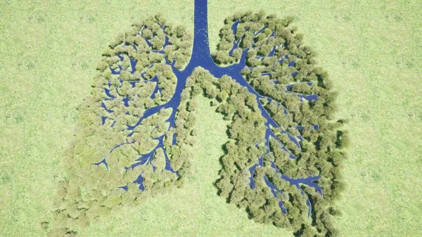 Poumons Forêt Environnement Nature Terre Sauvez Terre Verte Planète Render — Photo