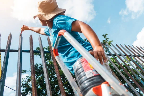 Latin Woman Dressed Shorts Shirt Hat Standing Ladder Standing Paint — Stockfoto