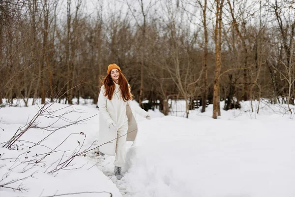 Πορτρέτο Μιας Γυναίκας Περπατήστε Στον Τομέα Του Χειμώνα Τοπίο Υπαίθρια — Φωτογραφία Αρχείου