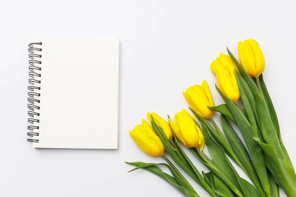 Lay Out Van Gele Tulpen Een Witte Achtergrond Notitieboek Veren — Stockfoto