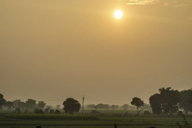 Akşam sahnesi ve Hindistan 'daki çayır görüntüsü