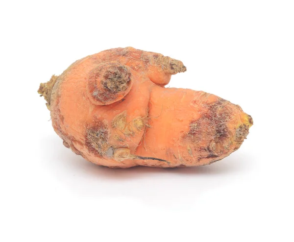 Потворна Морква Ізольована Білому — стокове фото