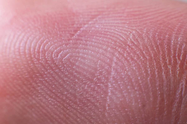 Close Surface Fingerprint Extreme Macro Photography Biometrics Fingerprinting — Stockfoto