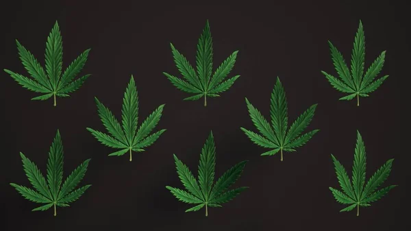 Lovely Green Cannabis Leaves Loop Background Leaf Réaliste Luma Mat — Photo