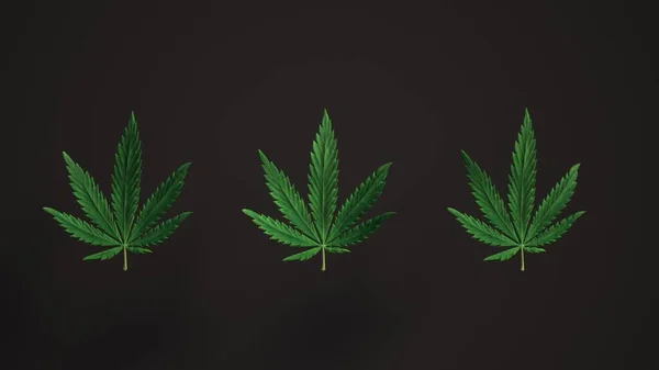 Lovely Green Cannabis Leaves Loop Background Leaf Réaliste Luma Mat — Photo