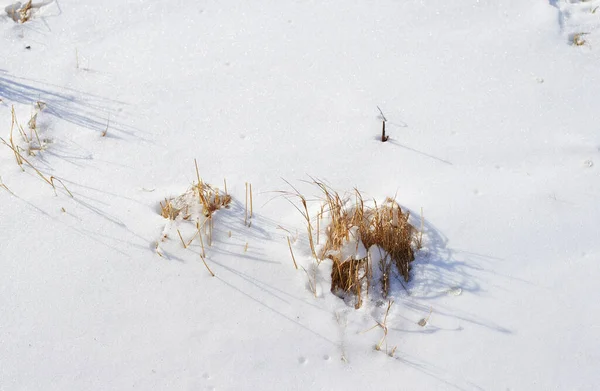 Зима Дании Дания Зимой — стоковое фото