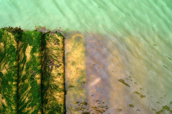 Морські Водорості Покривали Сходи Вниз Світло Зеленою Водою — стокове фото