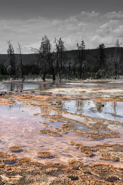 Parque Nacional Yelllowstone Piscina Bacteriana — Fotografia de Stock