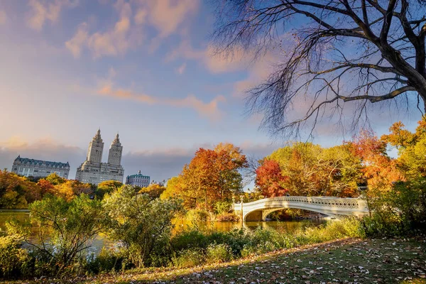 Центральный Парк Осенью Центре Манхэттена Нью Йорке — стоковое фото