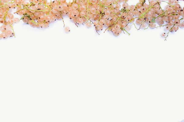 Beyaz Arka Planda Taze Üzümlü Üzümler Bir Ekleme Için Boşluk — Stok fotoğraf