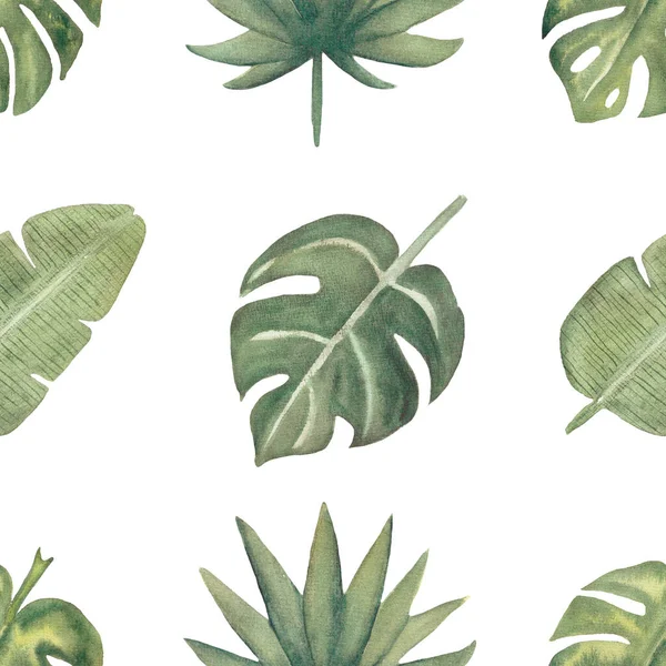 Watercolor seamless tropical leaves pattern. Foliage digital paper. Exotic floral wrapping paper.Monstera leaf, banana leaves green scrapbook paper. Hand drawn illustration
