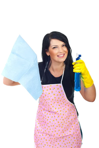 Gelukkige Vrouw Huishoudelijk Werk Doen — Stockfoto