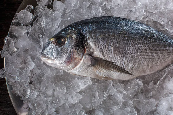 Deniz Ürünleri Yemek Hazırlama Dorado Üstten Görünüm Buz Üstünde — Stok fotoğraf