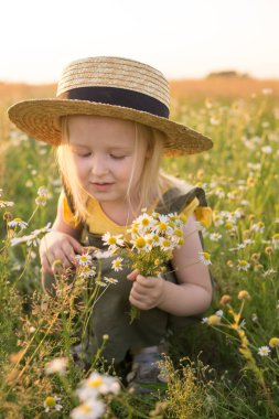 Bir buket papatyayla tarlada hasır şapkalı küçük sarışın kız.