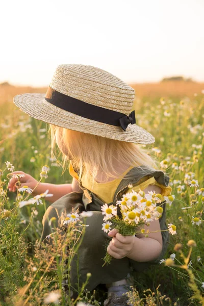 Kleines Blondes Mädchen Mit Strohhut Feld Mit Einem Strauß Gänseblümchen — Stockfoto