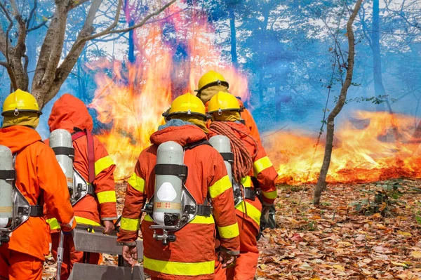 Bombeiros Preparando Equipamentos Floresta — Fotografia de Stock
