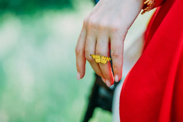 Eine Nahaufnahme Eines Schmetterlings Der Auf Den Fingern Einer Priesterin — Stockfoto