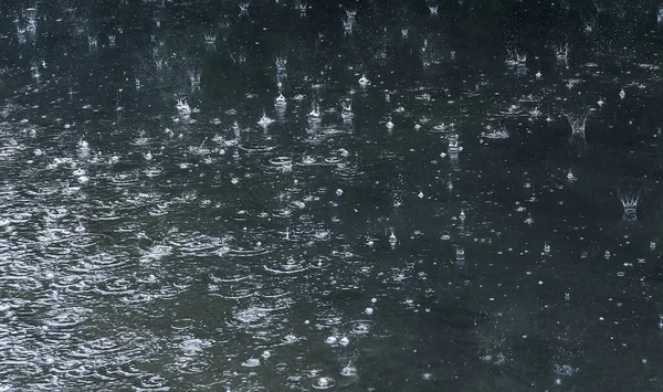 Βροχή Σταγόνες Που Πέφτουν Στην Πισίνα — Φωτογραφία Αρχείου