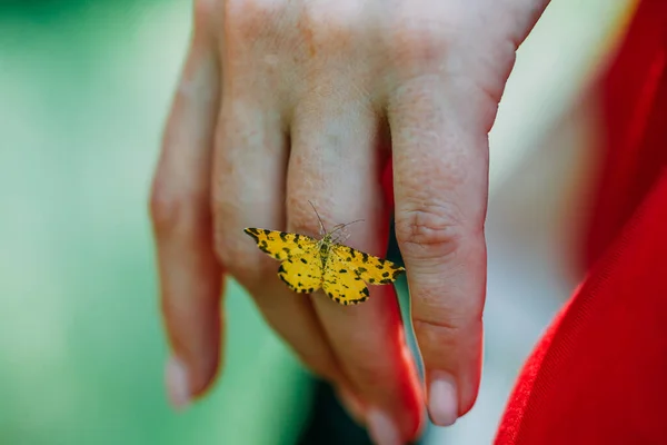 Primer Plano Una Mariposa Posada Los Dedos Una Sacerdotisa Rito —  Fotos de Stock