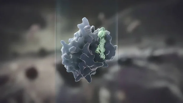 Κύτταρο Που Αναστέλλει Την Ανάπτυξη Όγκου — Φωτογραφία Αρχείου