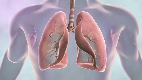 Sensibilisation Cancer Poumon Pneumonie Asthme Bpco Hypertension Pulmonaire Journée Mondiale — Photo