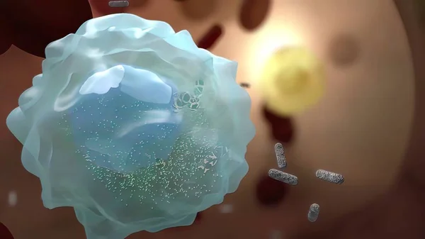 바이러스와 싸우는 세포들 — 스톡 사진