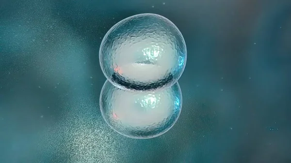 Разделение Клеток Клонирование Клеток — стоковое фото