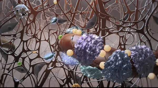 면역계를 보호하는 세포에 미생물 — 스톡 사진