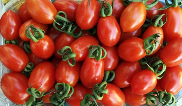 Tomates Vermelhos Ameixa Fundo Close — Fotografia de Stock