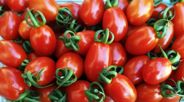 Tomates Vermelhos Ameixa Fundo Close — Fotografia de Stock