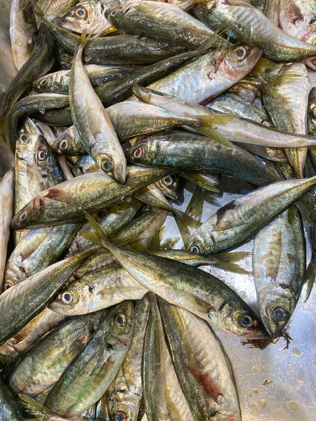Natural background of horse mackerel fish
