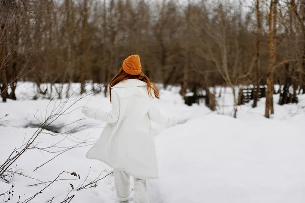 Νεαρή Γυναίκα Περπατήστε Στο Χειμερινό Πεδίο Τοπίο Υπαίθρια Διασκέδαση Υπάρχει — Φωτογραφία Αρχείου