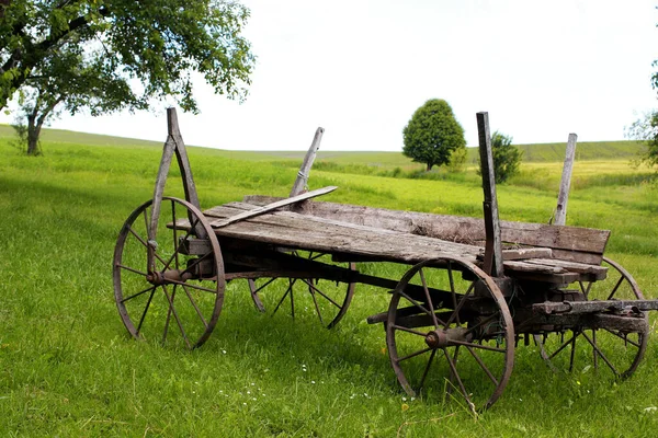 Starý Dřevěný Vozík Zelené Trávě — Stock fotografie