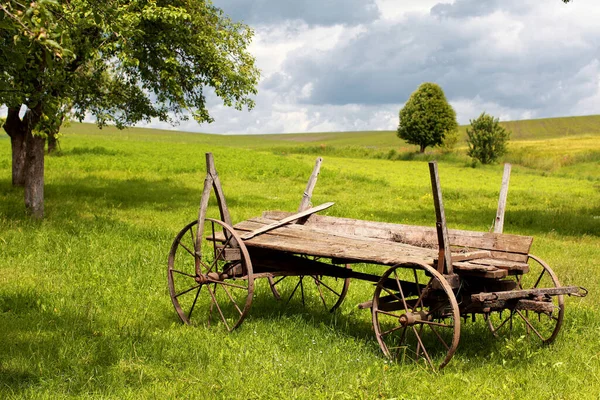 Old Wooden Cart Green Grass — Stock Photo, Image