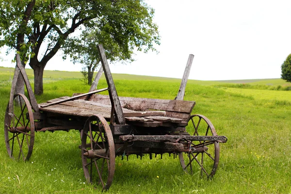Old Wooden Cart Green Grass — Stock Photo, Image