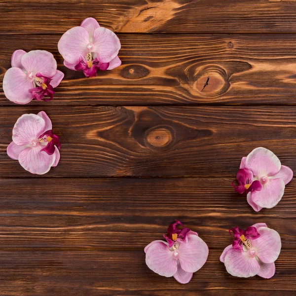Orchids Wooden Tabletop — Stock Photo, Image