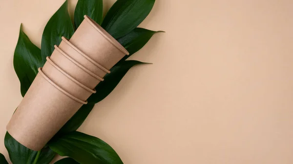 Eco Friendly Brown Cups Leaves — Stock Photo, Image