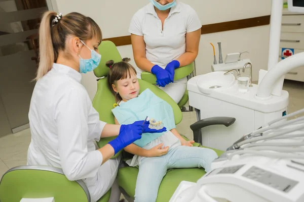 Dentista Menina Procurando Dentaduras — Fotografia de Stock