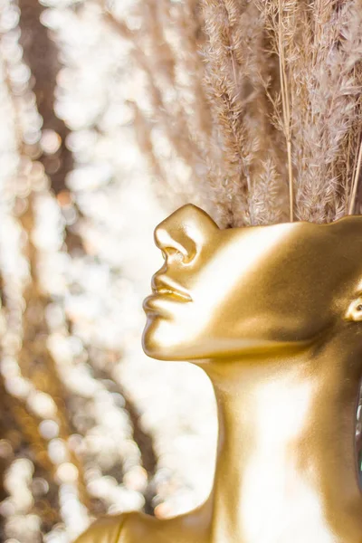 テクスチャの枝を持つ女性のハーフフェイス 黄金の図内装 — ストック写真