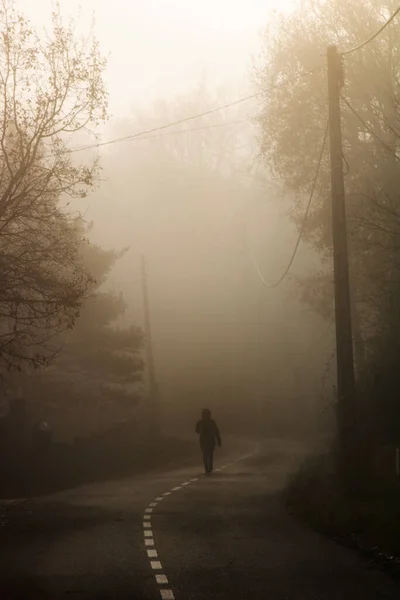 Περπατώντας Μόνη Στον Ομιχλώδη Δρόμο — Φωτογραφία Αρχείου