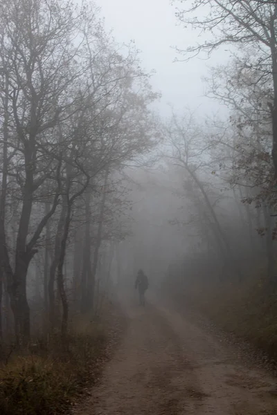 Menina Andando Caminho Através Uma Floresta Escura — Fotografia de Stock